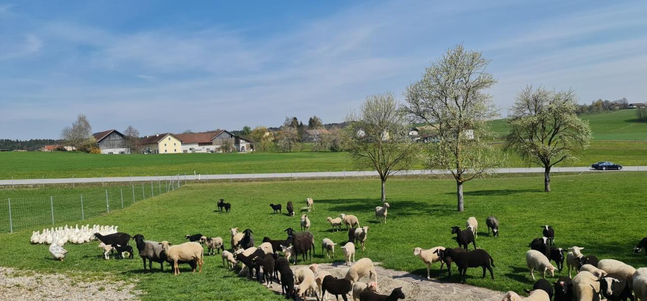 Landgasthof Entenwirt Tarsdorf Buitenkant foto