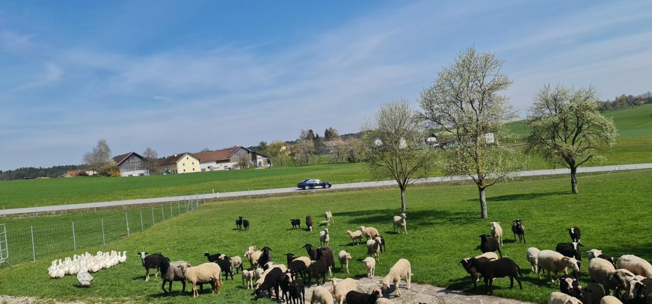 Landgasthof Entenwirt Tarsdorf Buitenkant foto