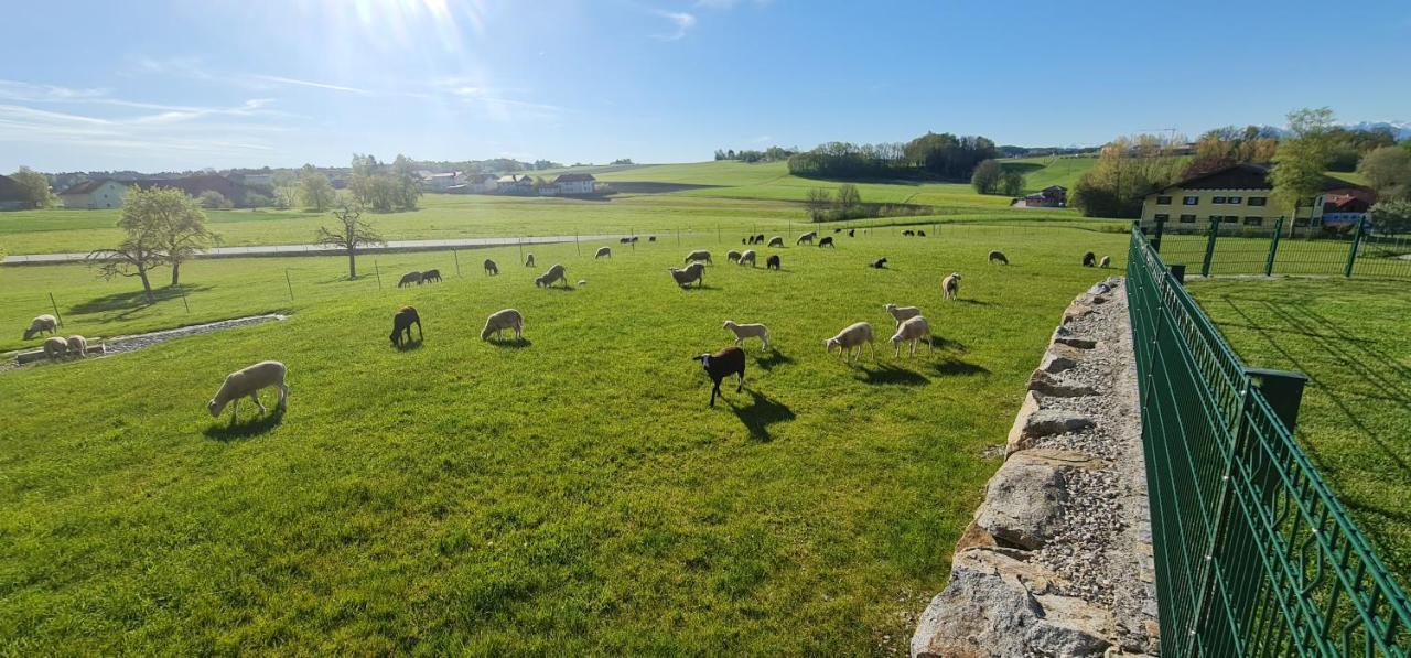 Landgasthof Entenwirt Tarsdorf Buitenkant foto