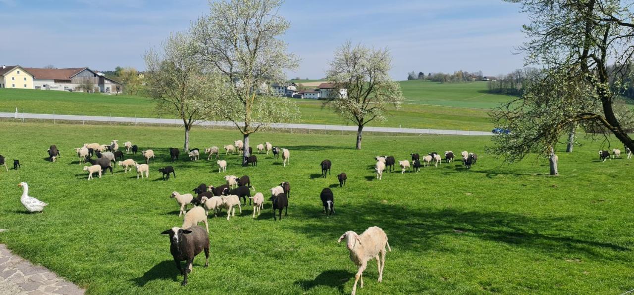 Landgasthof Entenwirt Tarsdorf Buitenkant foto