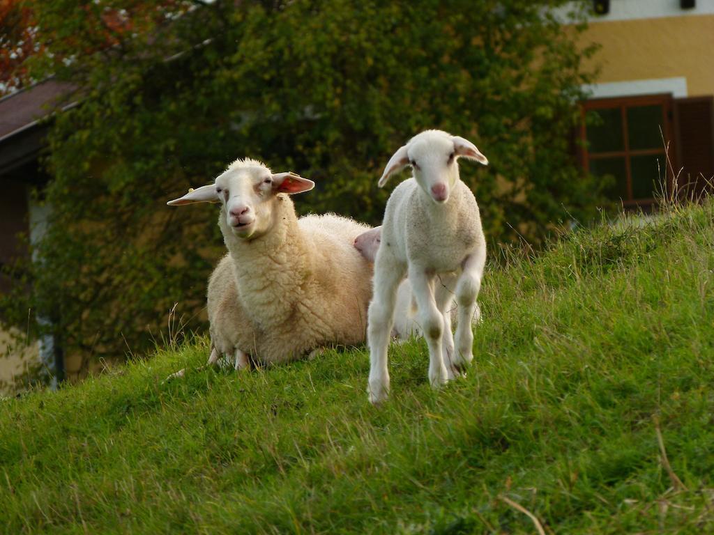 Landgasthof Entenwirt Tarsdorf Buitenkant foto